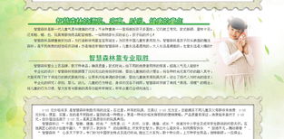 智慧森林 童裝品牌新勢(shì)力，攜手遠(yuǎn)大恒通共創(chuàng)未來(lái)