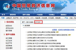 預警丨一大波針對中國的反傾銷措施生效，外貿及貨代企業應對指南